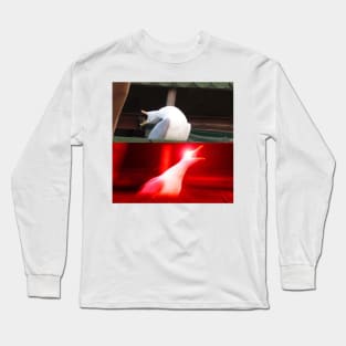 Inhaling Seagull Meme Long Sleeve T-Shirt